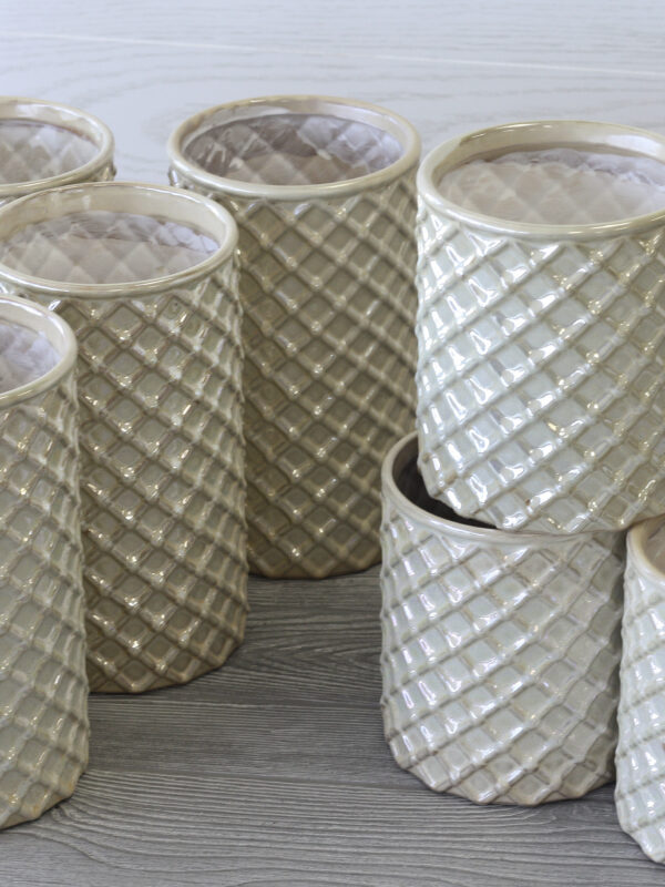 12 Piece Pearlized Container Assortment