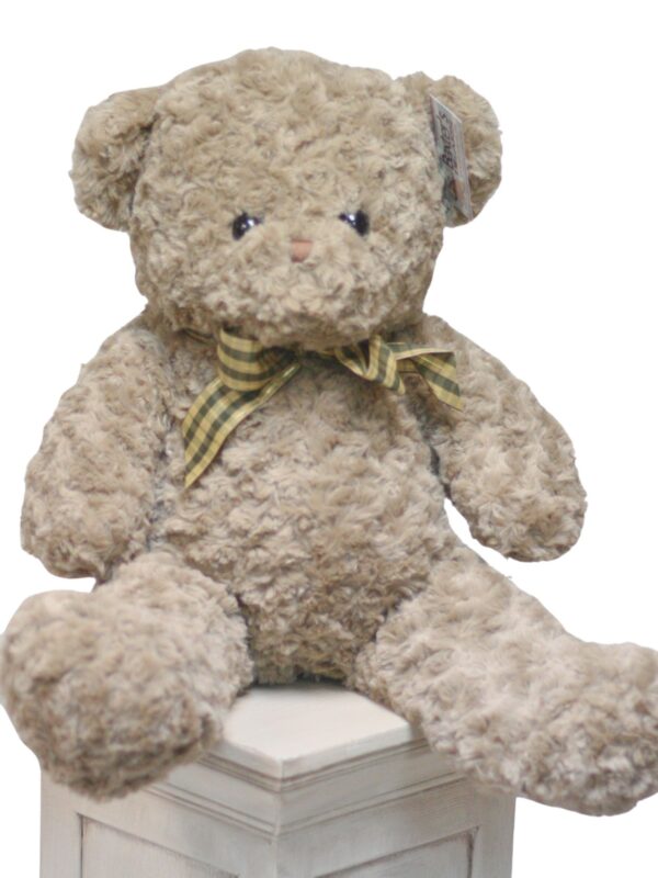 2 Piece Baxter Bear Plush