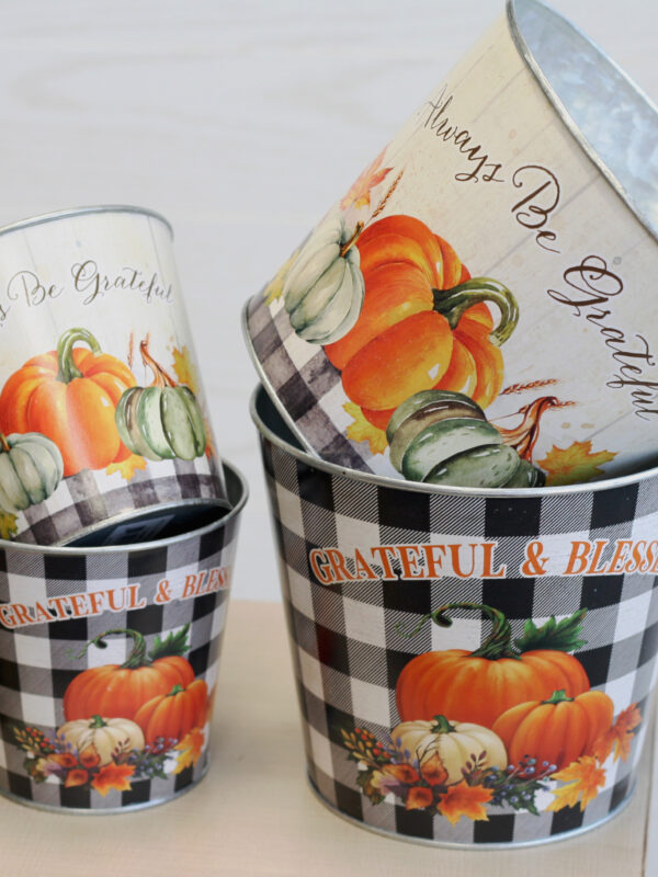 24 Piece Pumpkin Patch Metal Assortment