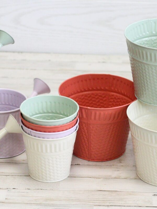 12 Piece Solid Spring Metal