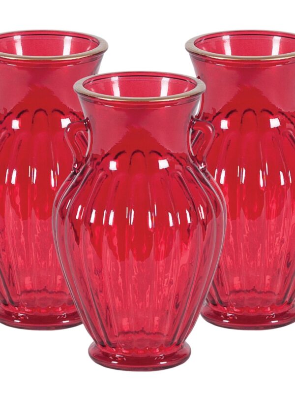 6 Piece Red Glass Vase