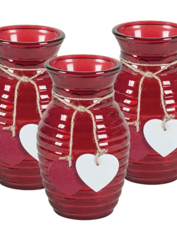 12 Piece Red Glass With Hanging Heart