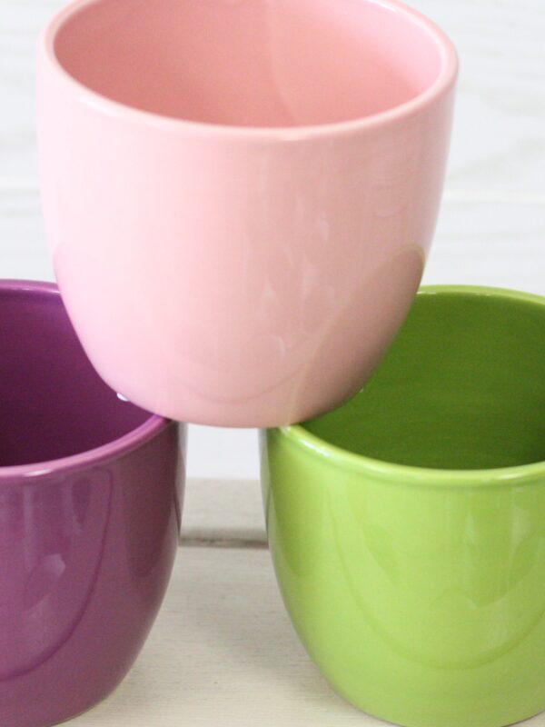24 Piece Solid Sherbert Ceramics